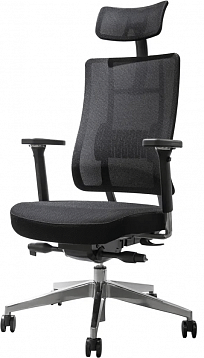 Эргономичное офисное кресло Falto X-Trans